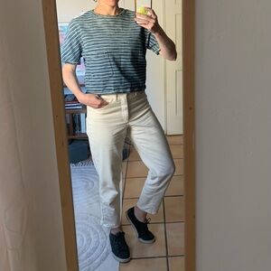 Current/Elliot Cropped Heavyweight Jean Striped Shirt